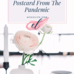 Postcard From The Pandemic