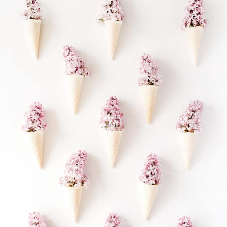 cones with lilac on white background. Flat lay composition, top view